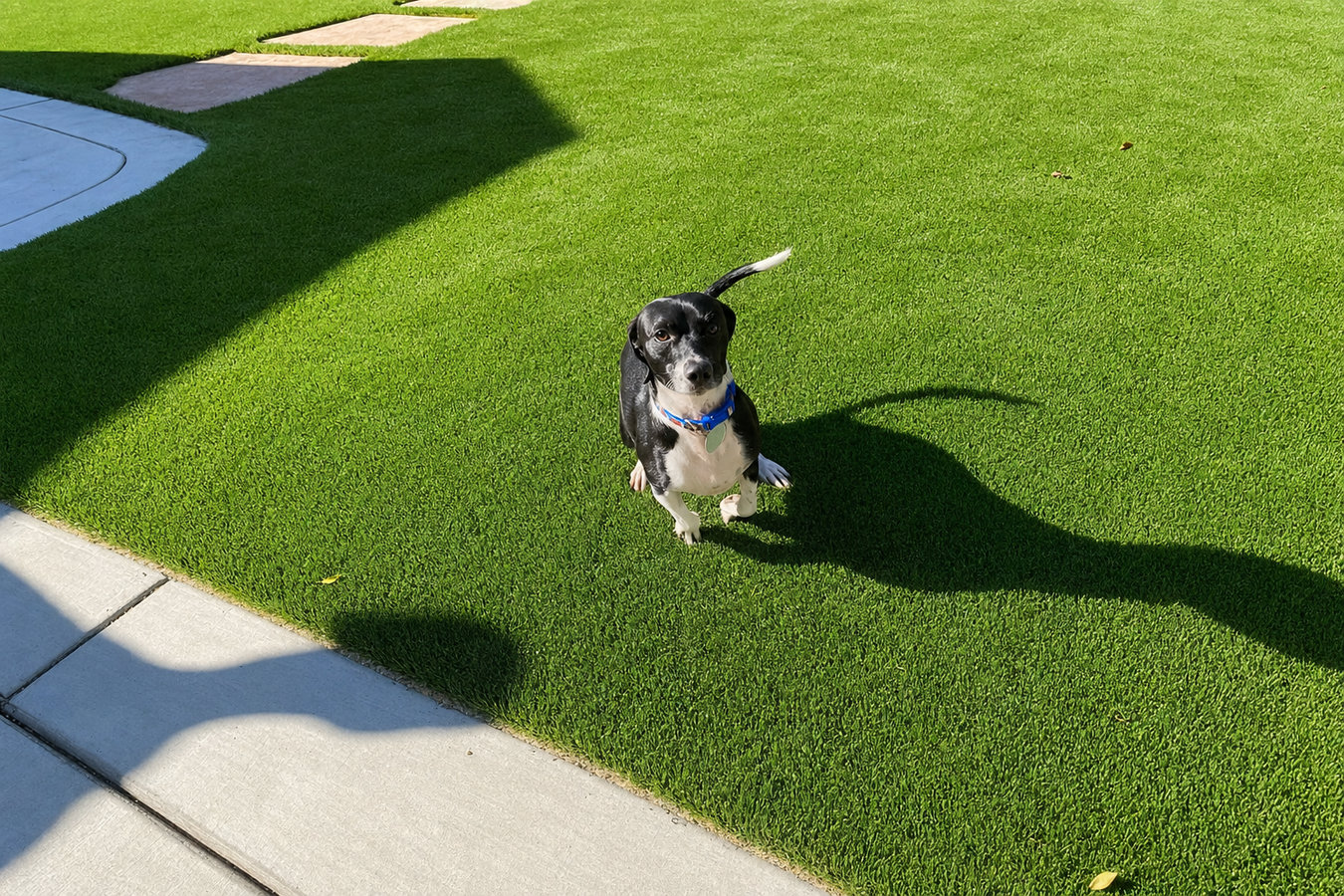 Salinas Artificial Grass Installation - Artificial turf installation in Salinas, CA